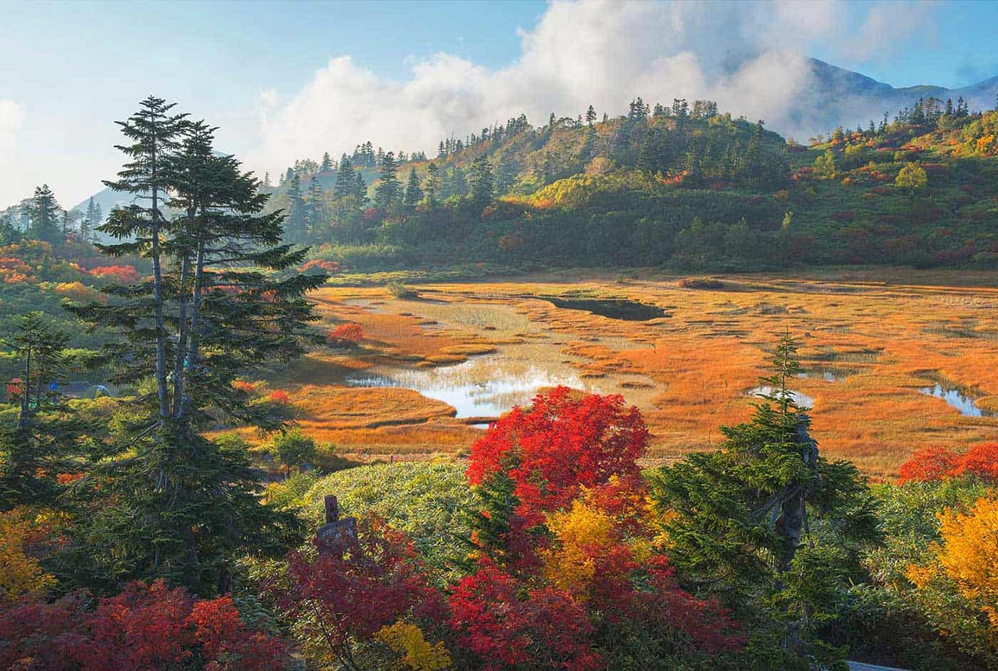 Reds and oranges of autumn foliage on Mt Hiuchi at Koya Pond.